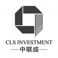 中聯盛國際投資控股